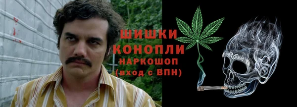 соль ск Алексин