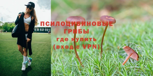 ешки Абаза