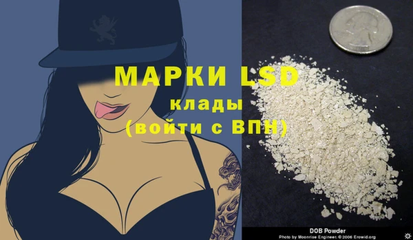 стаф Абинск