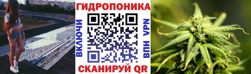 купить закладку Гусиноозёрск Каннабис OG Kush